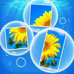 Bubblepics - Pop Jigsaw Puzzle 아이콘